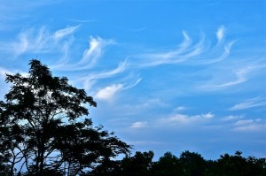 Cirrus_uncinus-2011April26-Buncha-804x534