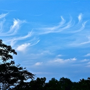 Cirrus uncinus