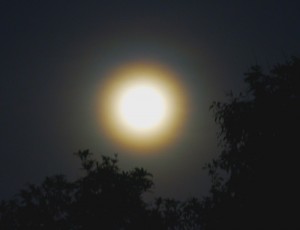 Moon_Corona-2011Mar19-Buncha-800x615