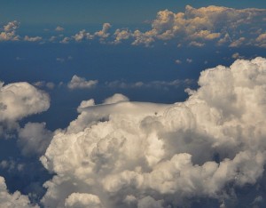 Pileus-2014-03-20-1232-DSC_0021-FB