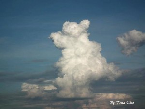 เมฆหมีน้อยคอยรัก-Tritaporn_Choosri