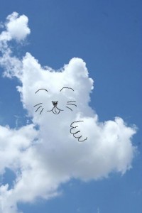 เมฆแมวกวัก-เดย์