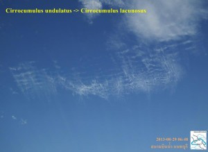 Cirrocumulus_undulatus_lacunosus-2013-08-29-Buncha