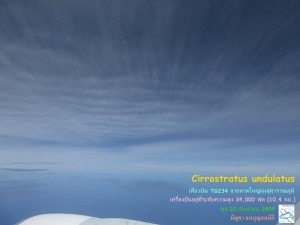 Cirrostratus_undulatus-2012-06-20-Buncha