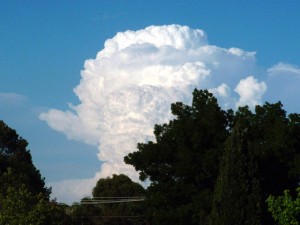 Cumulonimbus_calvus-Bidgee-800x600