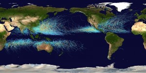 Global_tropical_cyclone_tracks-800x400